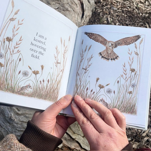 two inside pages of the book are shown, on the left the text reads "I am a kestrel, hovering over the field" on the right there is an illustrated picture of a kestrel mid fight. each page features native Australian flowers and plants along the ground with a small mouse hiding amongst the stems