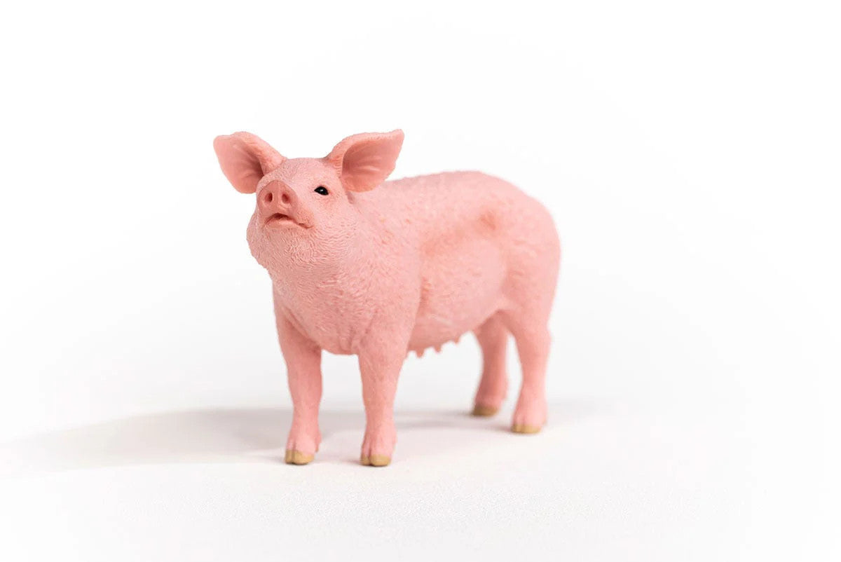 Schleich Pig