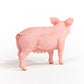 Schleich Pig