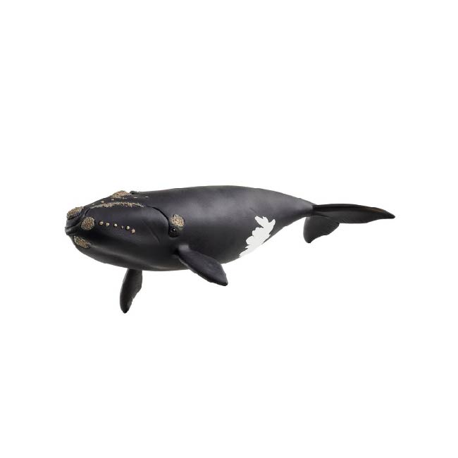 Schleich North Atlantic Right Whale