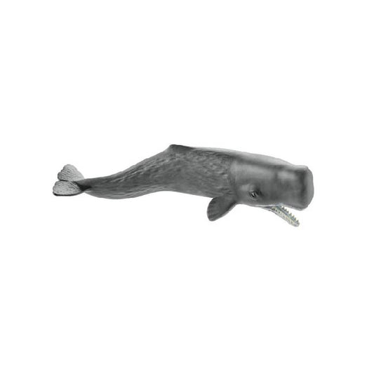 Schleich Sperm Whale