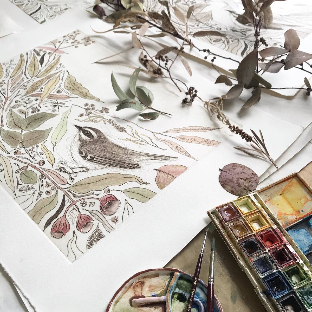 The Bush Birds - Children's Lift The Flap Book