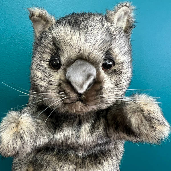 close up of plush wombat puppet